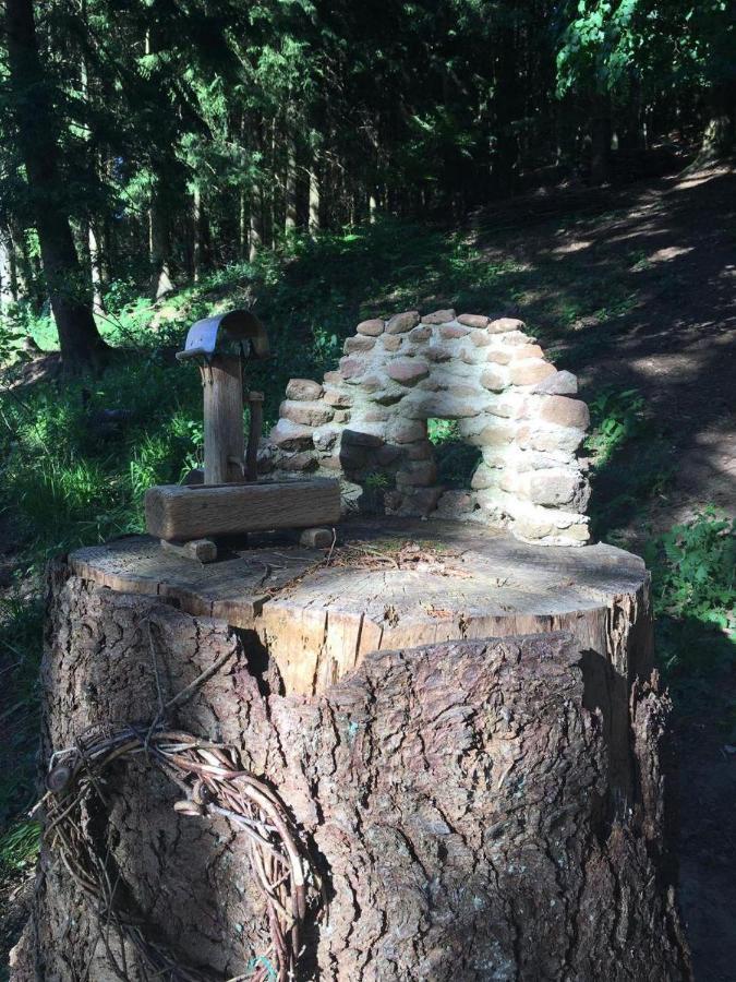 Waldnest Odenwald Hotel Buitenkant foto