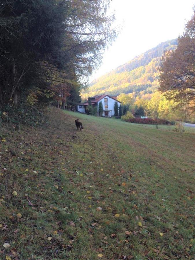 Waldnest Odenwald Hotel Buitenkant foto